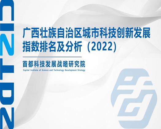 我把逼视频草了【成果发布】广西壮族自治区城市科技创新发展指数排名及分析（2022）